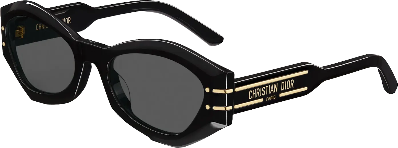 Dior Signature B1U Butterfly Sunglasses